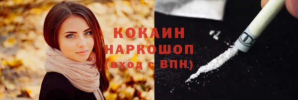 бошки Алексин