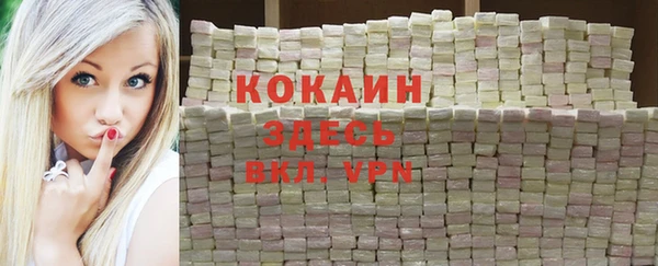 бошки Алексин