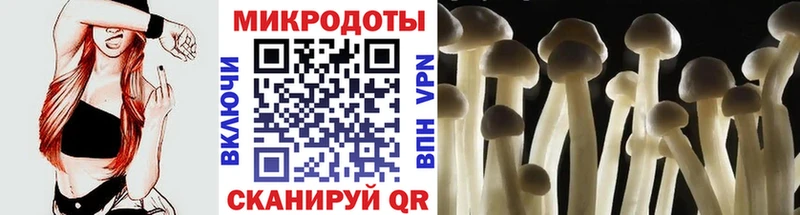 Галлюциногенные грибы прущие грибы  Кола 